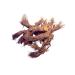 Osha Root 1oz (Ligusticum Porteri) Sustainably ethically sourced
