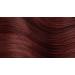 Permanent Hair Color Gel 5M Light Mahogany Chestnut - Long-lasting, Vibrant Shade - Buy Online on GoSupps.com