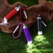 Buy Garneck 12-Piece Mini Keychain Flashlight Set - Compact LED Camping & Hiking Gear for Outdoors - Buy Online on GoSupps.com