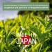 Biomatea Matcha japonais en poudre 150 g - Qualit culinaire sup rieure - Id al pour la p tisserie la cuisine les smoothies et le matcha latte le th matcha - Buy Online on GoSupps.com