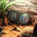Compact Lightweight Sturdy Hygrothermograph Reptile Thermometer Laboratory for Warehouse Pet Hospital - Buy Online on GoSupps.com