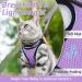 Rabbitgoo Cat Dishes Set - Stylish Cat Linen with Leash | Perfect for Cats | International Shipping - Buy Online on GoSupps.com