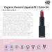 Whamisa Organic Flowers Lipstick Color 94 - Sate Rose Holzton | Vegan Gluten-Free Halmmatter Finish | Fermented Korean Natural Cosmetics - 4g - Buy Online on GoSupps.com