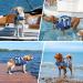 Kuoser Dog Life Jacket with Reflective Stripes | High Visibility & Adjustable | Ripstop Pet Preserver for Small, Medium, Large Dogs | Blue Camo | XX-Large - Buy Online on GoSupps.com