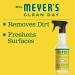 Mrs. Meyer's Clean Day All-Purpose Cleaner Spray - Honeysuckle Scent 16 Fl. Oz | Eco-Friendly & Effective International Shipping - Buy Online on GoSupps.com