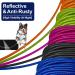 Buy Robust 6.1m Blue Dog Leash - Durable Steel Belt for Outdoor Use Perfect for Parks & Camping | International Shipping Available - Buy Online on GoSupps.com