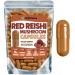 XPRS Nutra Reishi Mushroom Capsules - 180 Count Red Reishi Mushroom Capsules - 3 Month Supply Real Mushrooms Supplement Pills for Cognitive and Immune Boost - Superfood Hongo Organico 180 Count (Pack of 1)