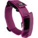 Julius-K9 Adjustable K9 Neck Band with Handle - Pink Gray 40mm (38-53 cm) | Safety Closure & Logo - International Shipping Available - Buy Online on GoSupps.com