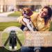 Buy Bluzelle 5m Roller Leash with Reflector Strips for Small Dogs | Ergonomic One-Hand Brake 360 Carabiner Hook Nylon Belt - Ideal for Dogs up to 20kg - Buy Online on GoSupps.com