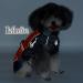 Ranphy Waterproof Dog Jacket for Medium & Large Dogs - Reflective Breathable Ultra-Light Rain Cover with Abdominal Protection | Red & Black 6XL (80cm Breast Size) - Buy Online on GoSupps.com