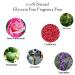 Pregnancy Safe Executive P Intimate Wash - Vegan, Fragrance-Free, pH Balanced, Glycerin-Free, Herbal Formula for Sensitive Skin. Odor & Itch Eliminating, Moisturizing, Skin Rejuvenating - Daily Use - Buy Online on GoSupps.com