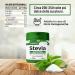 Stevia Pure Powder 98% Rebaudioside A | Natural Sweetener for Ketogenic Diets | 25g - Buy Online on GoSupps.com