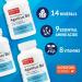 Organic Agaricus Bio Immune Support Supplement - 600mg High Beta Glucan Mushroom Capsules - 60ct - Buy Online on GoSupps.com