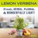 Mrs. Meyer's Kitchen Essentials Set - Lemon Verbena | Hand Soap, Dish Soap, All Purpose Cleaner - 3 Count Pack - Buy Online on GoSupps.com