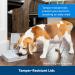 PetSafe Analog 2 Meal Programmable Pet Feeder - Automatic Dog & Cat Feeder with Portion Control - Tamper-Resistant Design | 3 Cup Capacity - Buy Online on GoSupps.com