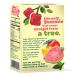 SOLELY Organic Mango Guava Whole Fruit Gummies 3.5 oz (8 Pack) | Vegan & Natural | No Added Sugars or Artificial Additives - Buy Online on GoSupps.com