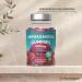 Horbaach Ashwagandha Gummies 1200mg Ashwagandha extract per daily serving 120 vegan gummies for 2 months supply with 5 Withanolides Natural Raspberry Flavor Horbach - Buy Online on GoSupps.com