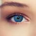 Shop Design Lens Blue Contact Lenses - Natural Look Monthly Wear Free Storage Case 0.0 Diopters - Buy Online on GoSupps.com