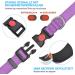 Haapaw Reflective Dog Collar - Padded Soft Neoprene Nylon for Small & Medium Dogs - Purple L (1 Pack) - International Shipping Available - Buy Online on GoSupps.com