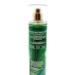 Bath & Body Works Vanilla Bean Noel Fine Fragrance Mist 8 Fluid Ounce Spray - Buy Online on GoSupps.com