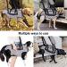 Ownpets Adjustable Lifting Dishes for Large Dogs | Waterproof Dog Carrier Bag with Shoulder Strap - XXXL - Buy Online on GoSupps.com