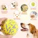 Fonpoo Super Elegant Dog Ball - Indestructible Interactive Water Toy for Small & Medium Dogs - Durable Pet Toy in Yellow & Blue - Buy Online on GoSupps.com