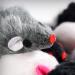 Penn-Plax Play Fur Mice Cat Toys | 12 Pack with Rattling Sounds | Black and White Variety Pack - CAT531 - Buy Online on GoSupps.com