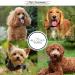 Chris Christensen Diamond Series Miracle Repair Conditioner - Professional Dog Care for Smooth Fur | 473ml - Long-Lasting & Deep Repair Formula - Buy Online on GoSupps.com
