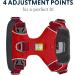 RUFFWEAR Front Range Reflective Dog Harness Medium - Adjustable, Comfortable, Padded - No Pull Y Harness with 2 Lead Attachments - Size M, Red Sumac - Buy Online on GoSupps.com