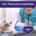 FELIWAY Optimum Value Pack | 3 Months Balance & Relaxation for Cats | 3 x 48 ml Refill Bottles - Buy Online on GoSupps.com