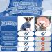 Kuoser Dog Recovery Suit - Postoperative Wound Protection Shirt for Dogs | Soft Breathable & Anti-Lick E-Collar Alternative - XS Blue - Buy Online on GoSupps.com