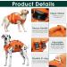 Kuoser Adjustable Ripstop Dog Lifeguard Vest for Small & Large Dogs - High Floating Capacity Pet Swimming Suits in XL Orange - Buy Online on GoSupps.com