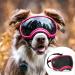 Rex Specs V2 Dog Goggles (Medium, Yazberry) Medium Yazberry