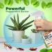 Mighty Mint 16oz Natural Peppermint Oil Spray - Cockroach Repellent - Buy Online on GoSupps.com