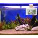 Weewooday Reptile Hygrometer Thermometer - 2 Piece Digital Temperature Humidity Meter Gauge with LCD Display for Reptile Tanks and Terrariums - Buy Online on GoSupps.com