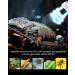 Doright 10.0 26W UVA UVB Reptile Lamp - E27 Fluorescent Light for Lizard Chameleon Gecko & Turtle Tank | AC 220-240V - Buy Online on GoSupps.com