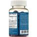 Natural Vitality Brain Health & Memory Gummies - Functional Mushroom Extract Blend - Vegan & Gluten Free - Raspberry Flavored - 60 Gummies - Buy Online on GoSupps.com