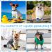 24 Pieces Non Slip Dog Socks for Small Dogs - Indoor Paw Protectors for Hardwood Floors - 6 Styles (Small) - Buy Online on GoSupps.com