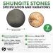 7-Piece Shungite Sticker Set for Electronics - Round Dot Healing Energy Stones - Carbon Fullerenes Protection Plate - 20mm Polished - Buy Online on GoSupps.com