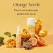 Curie Aluminum Free Deodorant - Orange Neroli Stick and Travel Mini - Natural Deodorant Paraben Free Cruelty Free Non-Toxic Orange Neroli + Mini - Buy Online on GoSupps.com