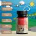 Buy B-Complex Forte Tabs - NatureWell (360 Tablets) | Premium B Vitamins for Energy Boost & Wellness - International Shipping Available - Buy Online on GoSupps.com