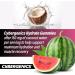 Hydrate Gummies - Vital Electrolytes for Recovery & Hydration | Coconut Water & Watermelon Flavor | 60 Gummies 30 Servings | International Shipping Available - Buy Online on GoSupps.com