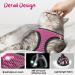 Shop Lollanda Cat Dishes with Leash & Adjustable Soft Vest - Reflective Stripe Super Small Kitten Size (S Pink) | International Shipping Available - Buy Online on GoSupps.com
