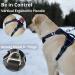 Medium TUFFDOG Easy-Fit Dog Harness - Premium Padded Reflective No Pull Vest with Control Handle and Matching Lead - Raven Black - Buy Online on GoSupps.com