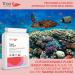 Vegan Omega 3 Algal Oil 1332mg - 732mg Omegas, 400mg DHA, 200mg EPA - Sustainable Plant Source - 90 Capsules - Buy Online on GoSupps.com