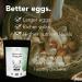 Graze Haven Layer Chicken Feed 2lbs - Organic Non-GMO Antibiotic-Free | Better Eggs Optimal Nutrition | High Protein Eco-Friendly | Made in Canada 907 g (Pack of 1) - Buy Online on GoSupps.com