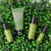 Benton Deep Green Tea Trial Kit - 4 Piece Skincare Set for Healthy Skin - Buy Online on GoSupps.com