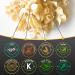 Wonder Noodles 2 Pack Keto Pasta - Zero Carb, Kosher Vegan Friendly Fettuccine (28 Oz.) - Buy Online on GoSupps.com