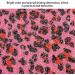 Durable Manicure Tool Bright Colors The Effect Is Remarkable Exquisite Nail Art Manicure Hand 07-Pink Leopard Print - Buy Online on GoSupps.com
