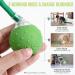 IOKHEIRA Interactive Cat Toy Cat Toys for Indoor Cats Adult Motion Activated Automatic Moving Ball Toy Electric Automatic Cat Toys with 2 Long Tail Teaser Suitable for All Floors and Carpets Green - Buy Online on GoSupps.com